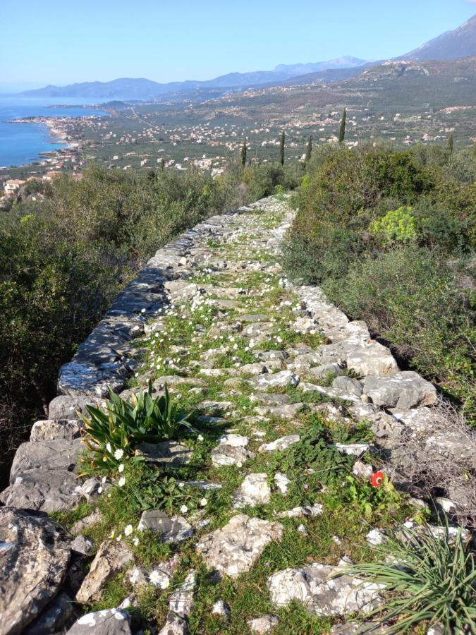 Villa Pefnos Ayos Nikolaos Dış mekan fotoğraf