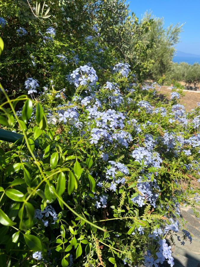 Villa Pefnos Ayos Nikolaos Dış mekan fotoğraf