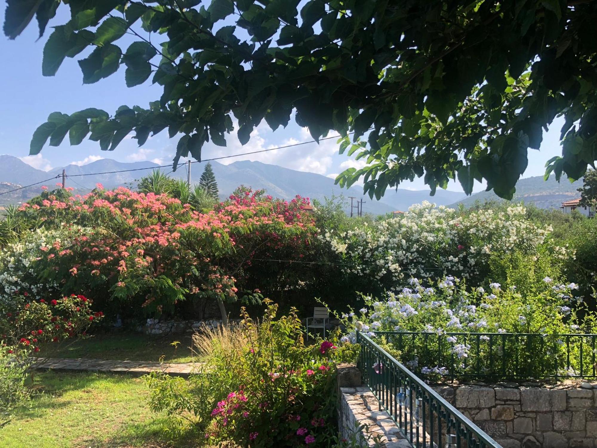 Villa Pefnos Ayos Nikolaos Dış mekan fotoğraf