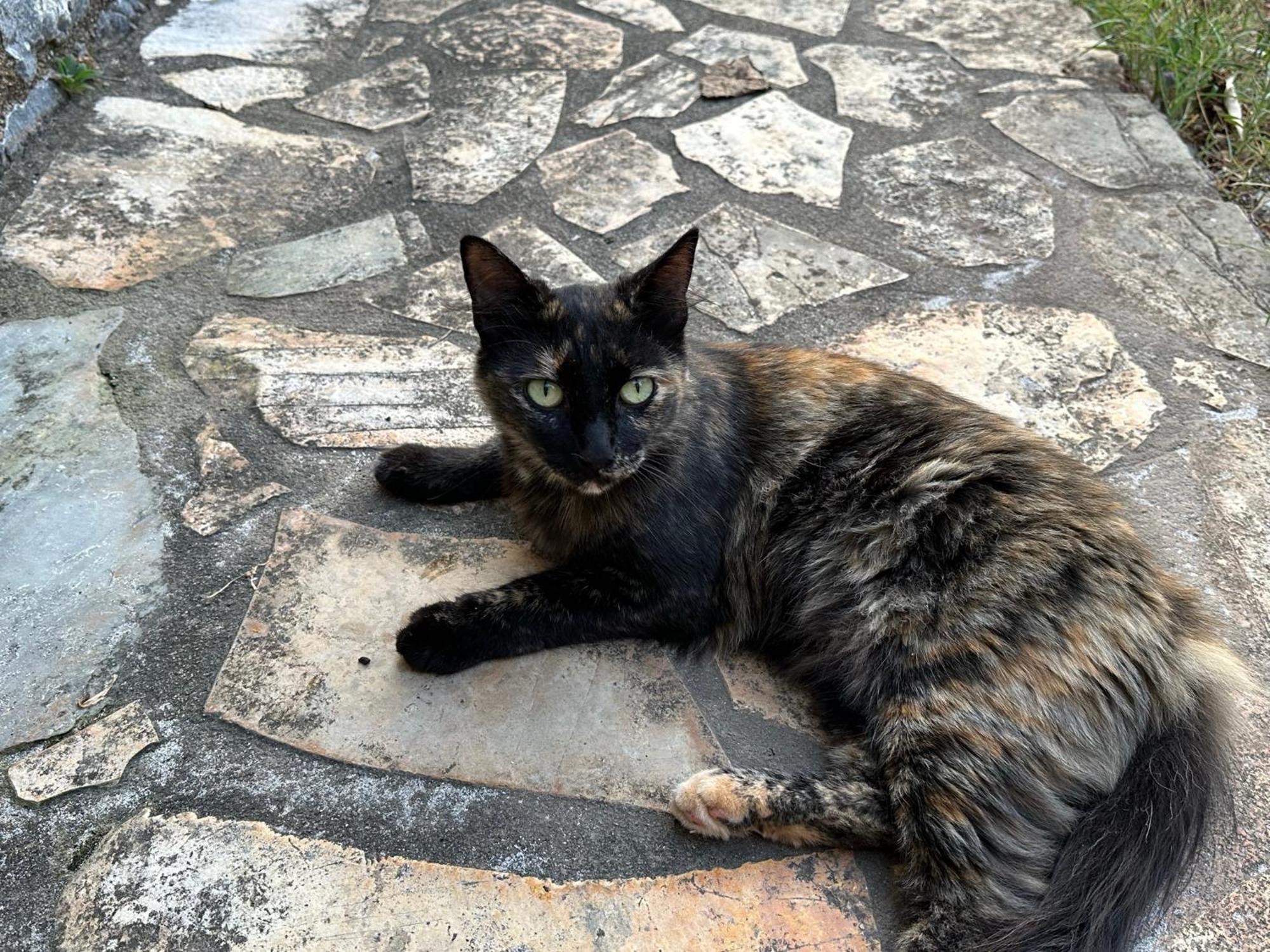 Villa Pefnos Ayos Nikolaos Dış mekan fotoğraf