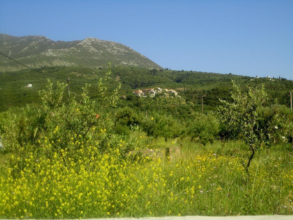 Villa Pefnos Ayos Nikolaos Dış mekan fotoğraf